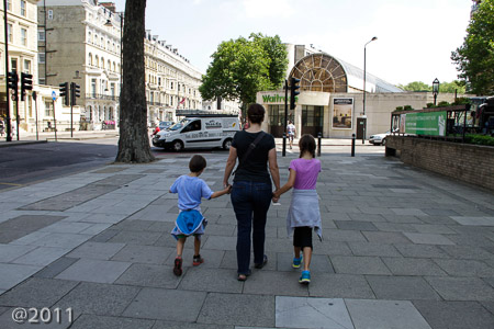 Walking Warrens