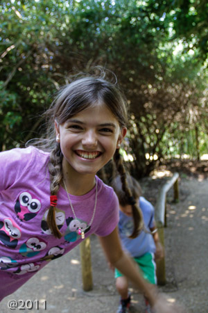 Princess Diana Playground