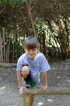 Princess Diana Playground