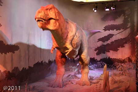 Science Museum