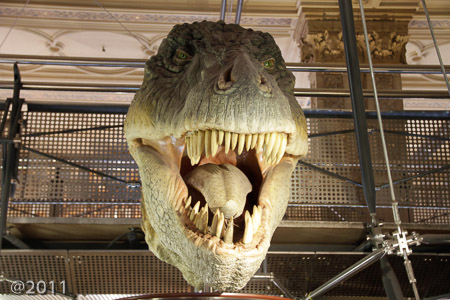 Science Museum