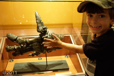 Science Museum