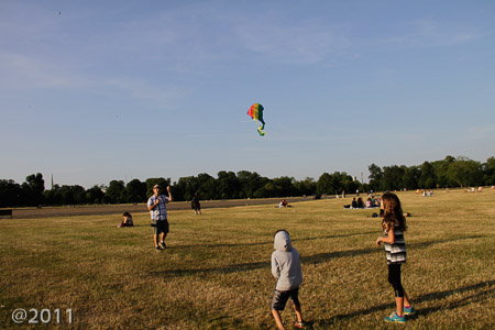 Let's go fly a kite