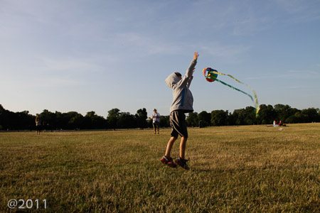 Let's go fly a kite