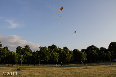 Let's go fly a kite