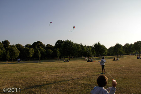 Let's go fly a kite
