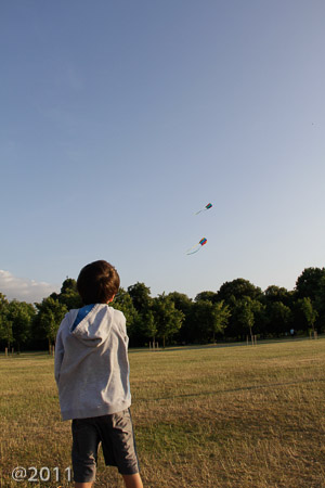 Let's go fly a kite