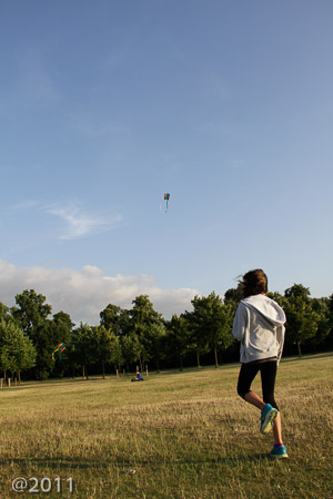 Let's go fly a kite