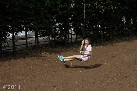 Zip line Holland Park