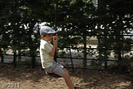 Zip line Holland Park