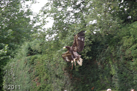 Warwick Castle