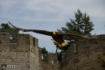 Warwick Castle