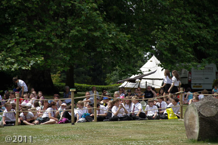 Warwick Castle