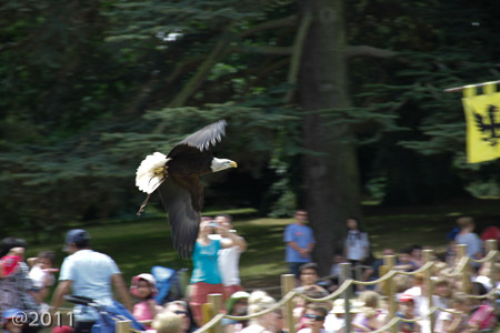 Warwick Castle