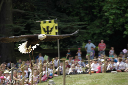 Warwick Castle