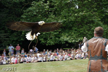 Warwick Castle