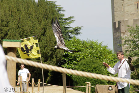 Warwick Castle