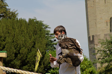 Warwick Castle