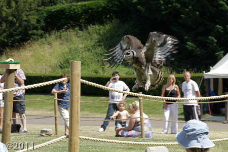 Warwick Castle