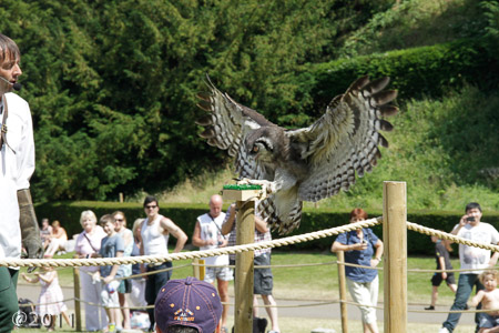 Warwick Castle