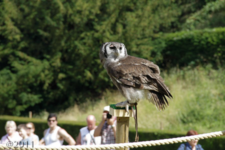 Warwick Castle