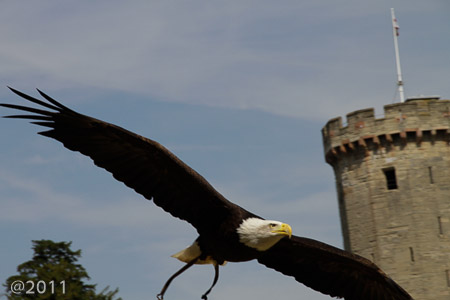 Warwick Castle