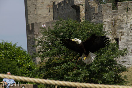 Warwick Castle