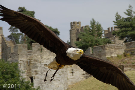 Warwick Castle