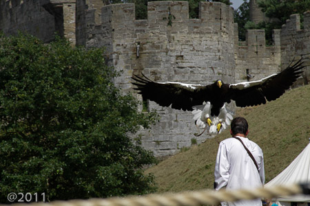 Warwick Castle