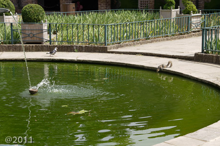 Holland Park