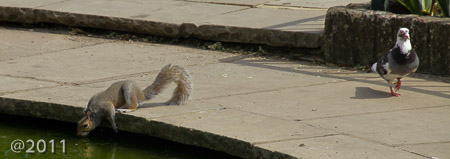 Holland Park