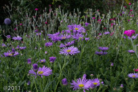 London Wetland Center