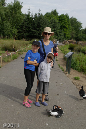 London Wetland Center