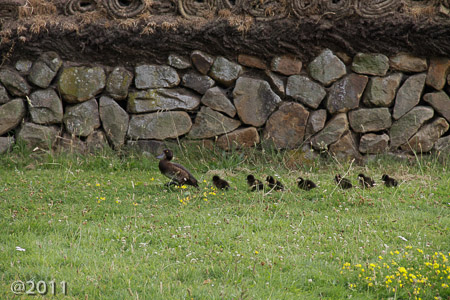 London Wetland Center