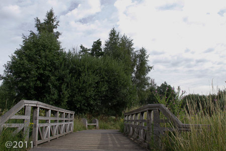London Wetland Center