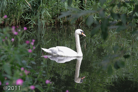 London Wetland Center