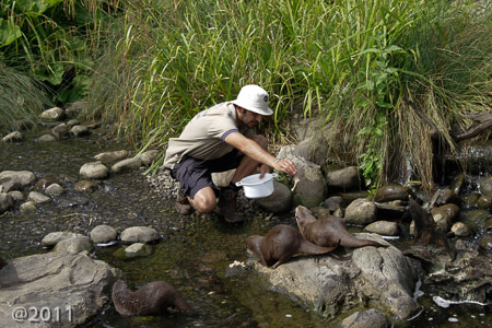 London Wetland Center