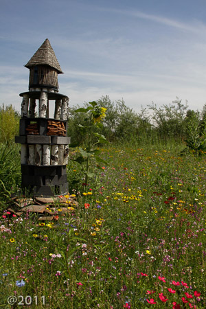 London Wetland Center
