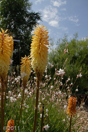 London Wetland Center