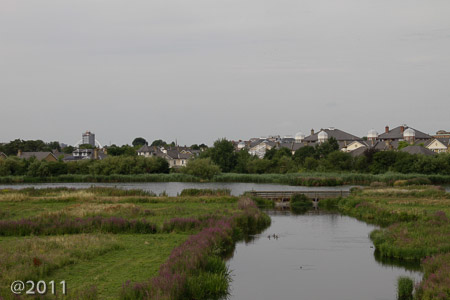 London Wetland Center
