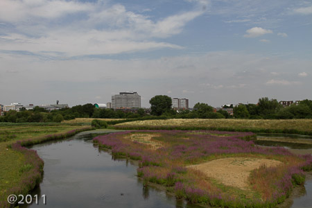 London Wetland Center