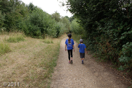 London Wetland Center