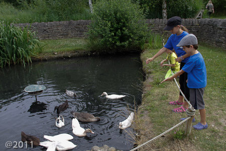 London Wetland Center