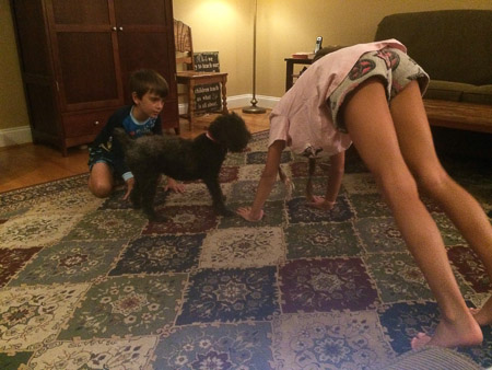 Yoga and stretching with Farley