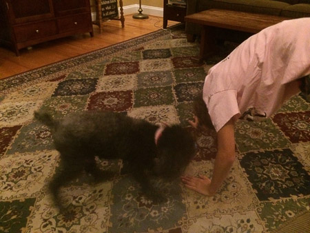 Yoga and stretching with Farley