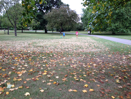 Dessert and futball in Regent's Park after dinner 