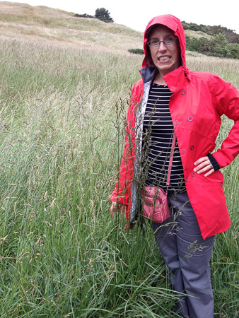 If there are velociraptors in Scotland, I am sure they are in this grass