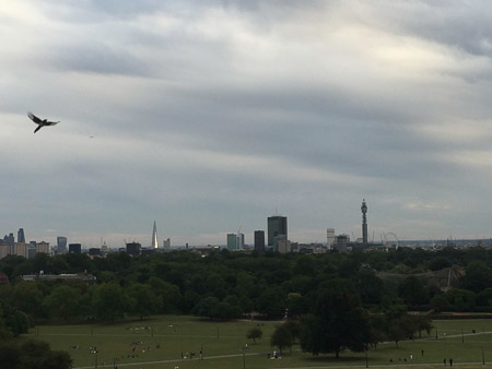 UP Primrose Hill