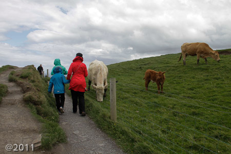Cliffs of Moher