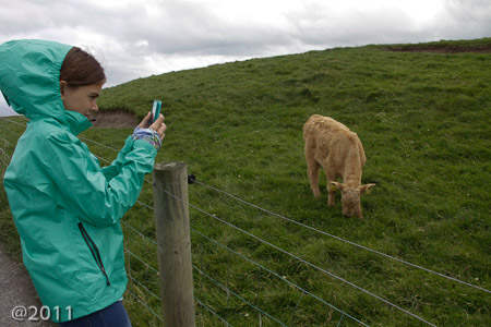Cliffs of Moher